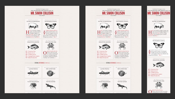 Responsive Web Design