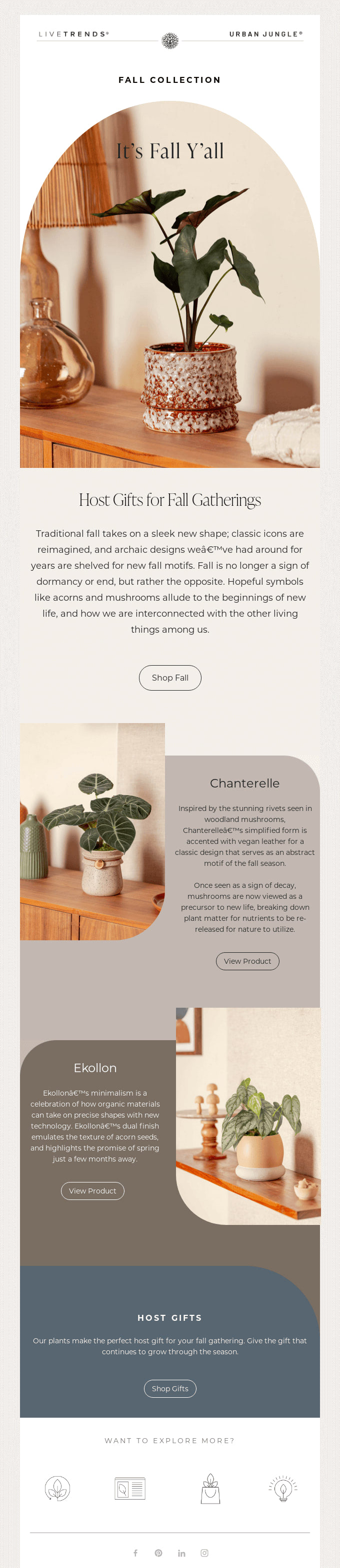 Fall email newsletter